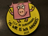 Carnavals embleem 2025 'tis wir is wa aanders